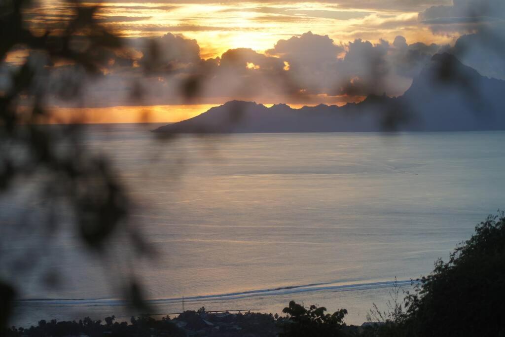 Maison D'Architecte Avec Jacuzzi Et Vue Ocean Villa Taapuna Eksteriør billede