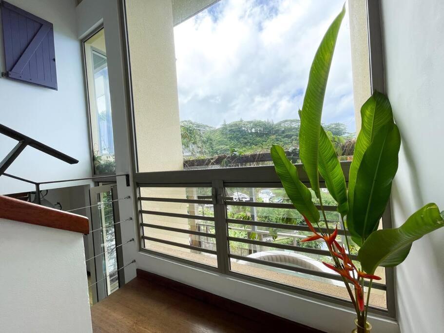 Maison D'Architecte Avec Jacuzzi Et Vue Ocean Villa Taapuna Eksteriør billede